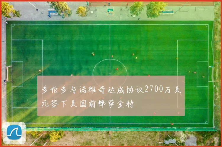 多伦多与诺维奇达成协议2700万美元签下美国前锋萨金特